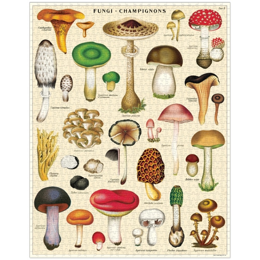 Mushrooms Vintage Pussel 1000 bitar